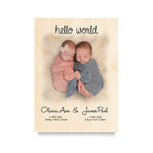 Hello World Twins Newborn Print