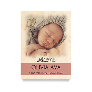 Welcome (Blush) Newborn Print